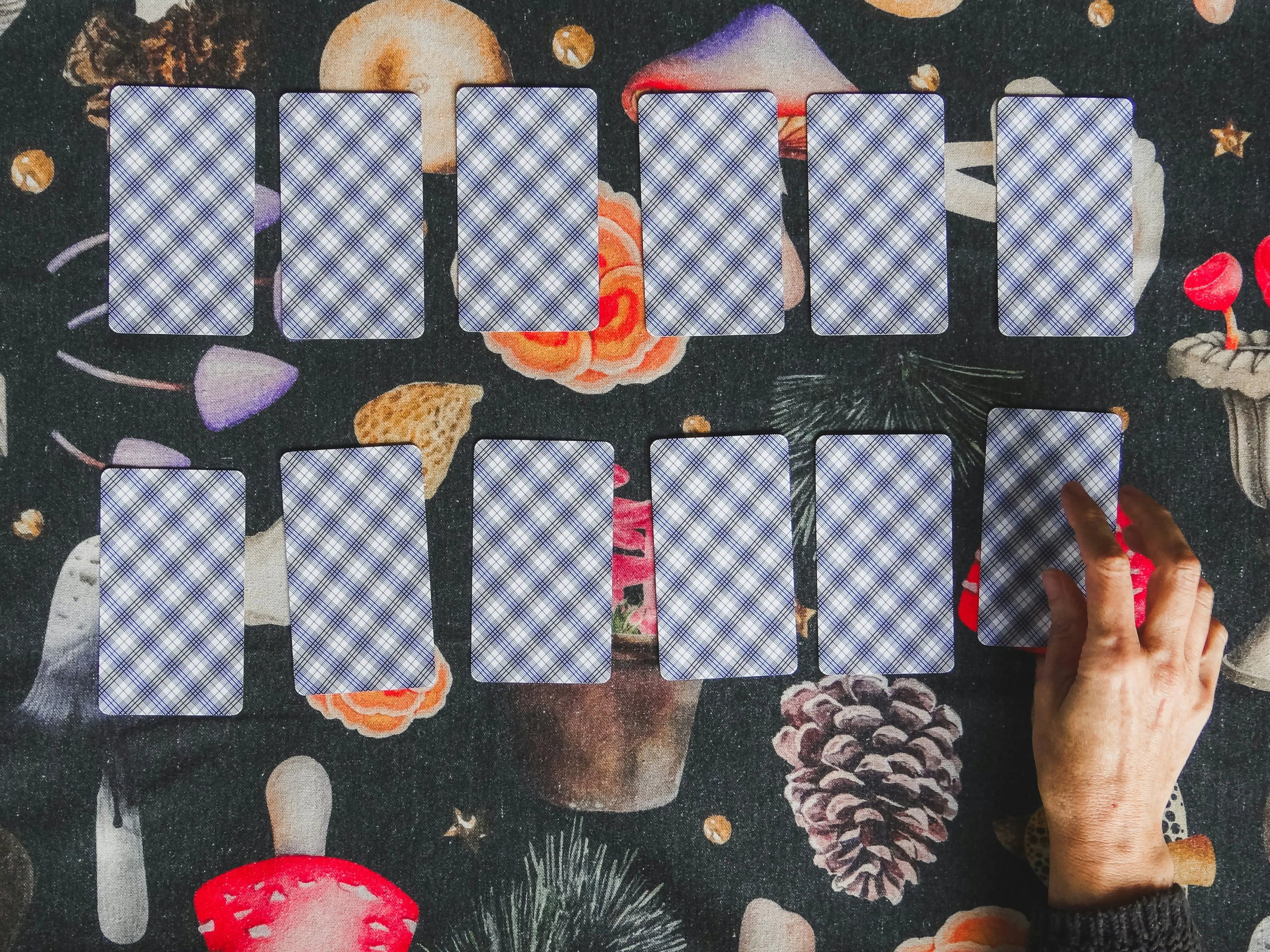 Previsão Anual do Tarot