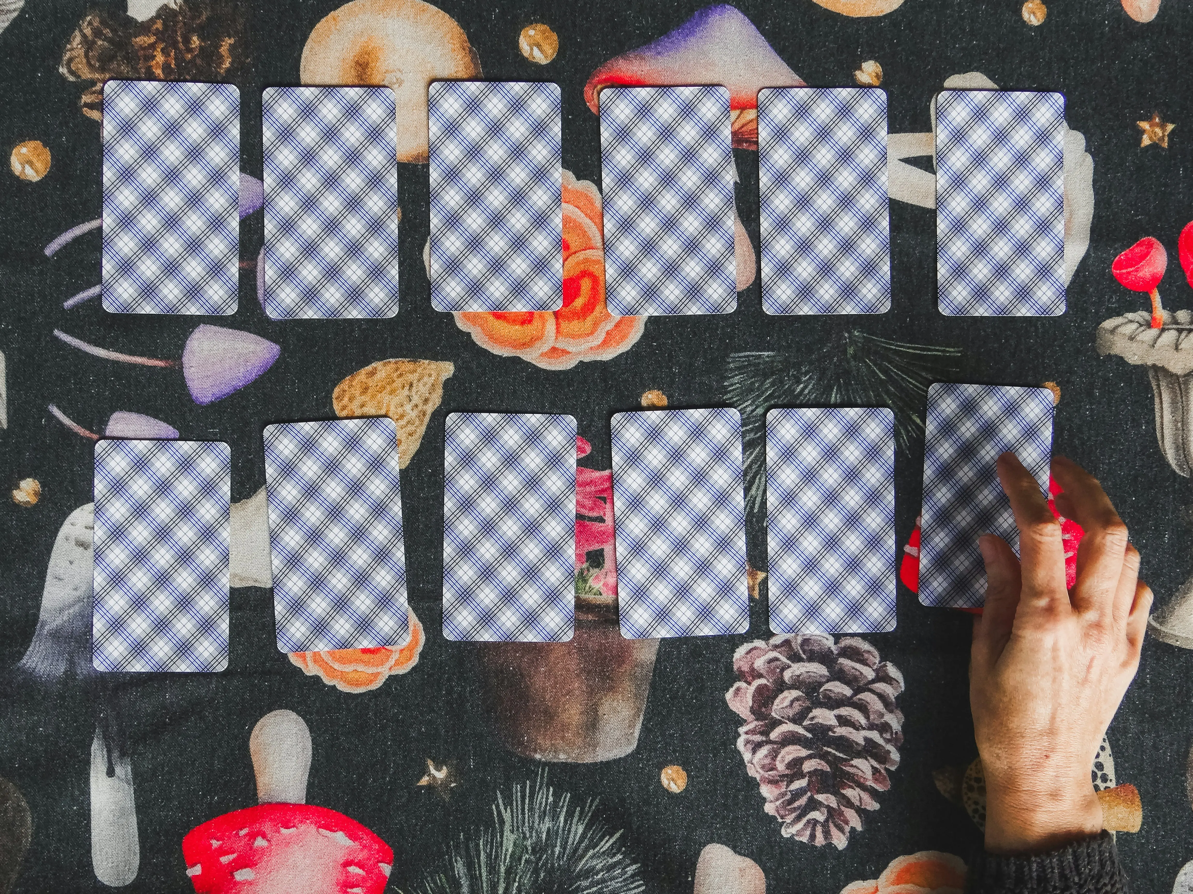 Yearly Tarot Forecast